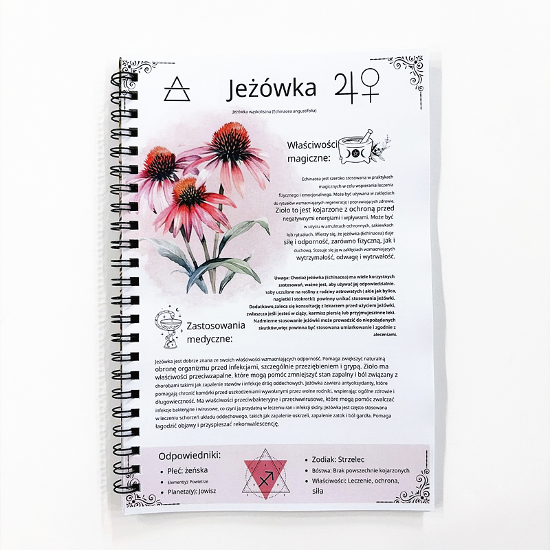 The Lost Book of Herbal Remedi - Herbal Wellness Book บทวิจารณ์และราคา