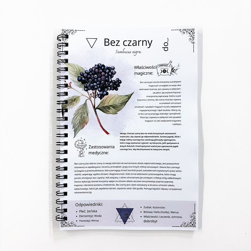 The Lost Book of Herbal Remedi - Herbal Wellness Book บทวิจารณ์และราคา