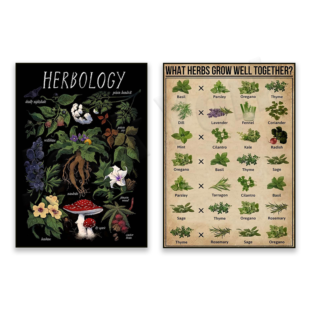 What herbs grow well together? - Herbal Gardens Wellness บทวิจารณ์และราคา