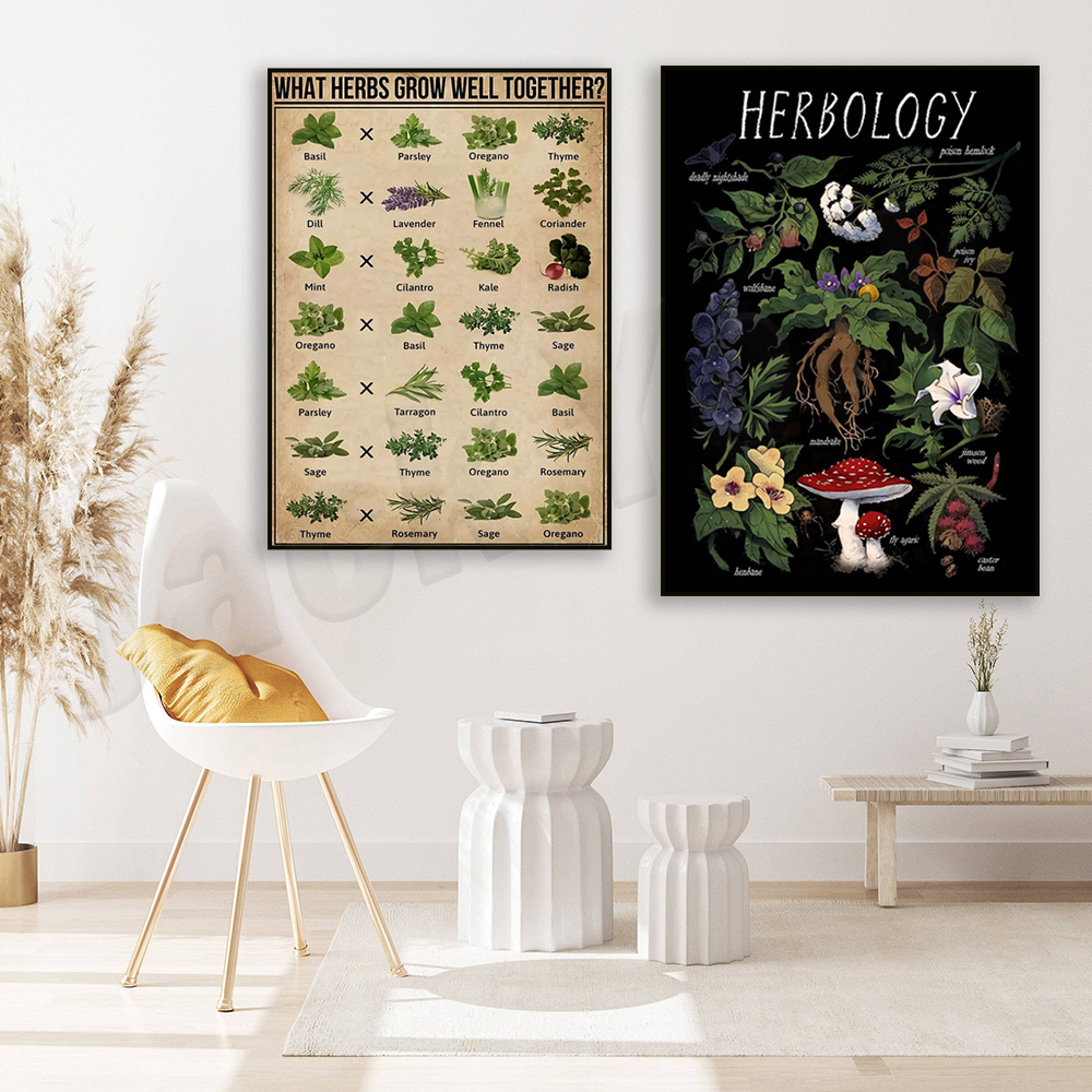 What herbs grow well together? - Herbal Gardens Wellness บทวิจารณ์และราคา