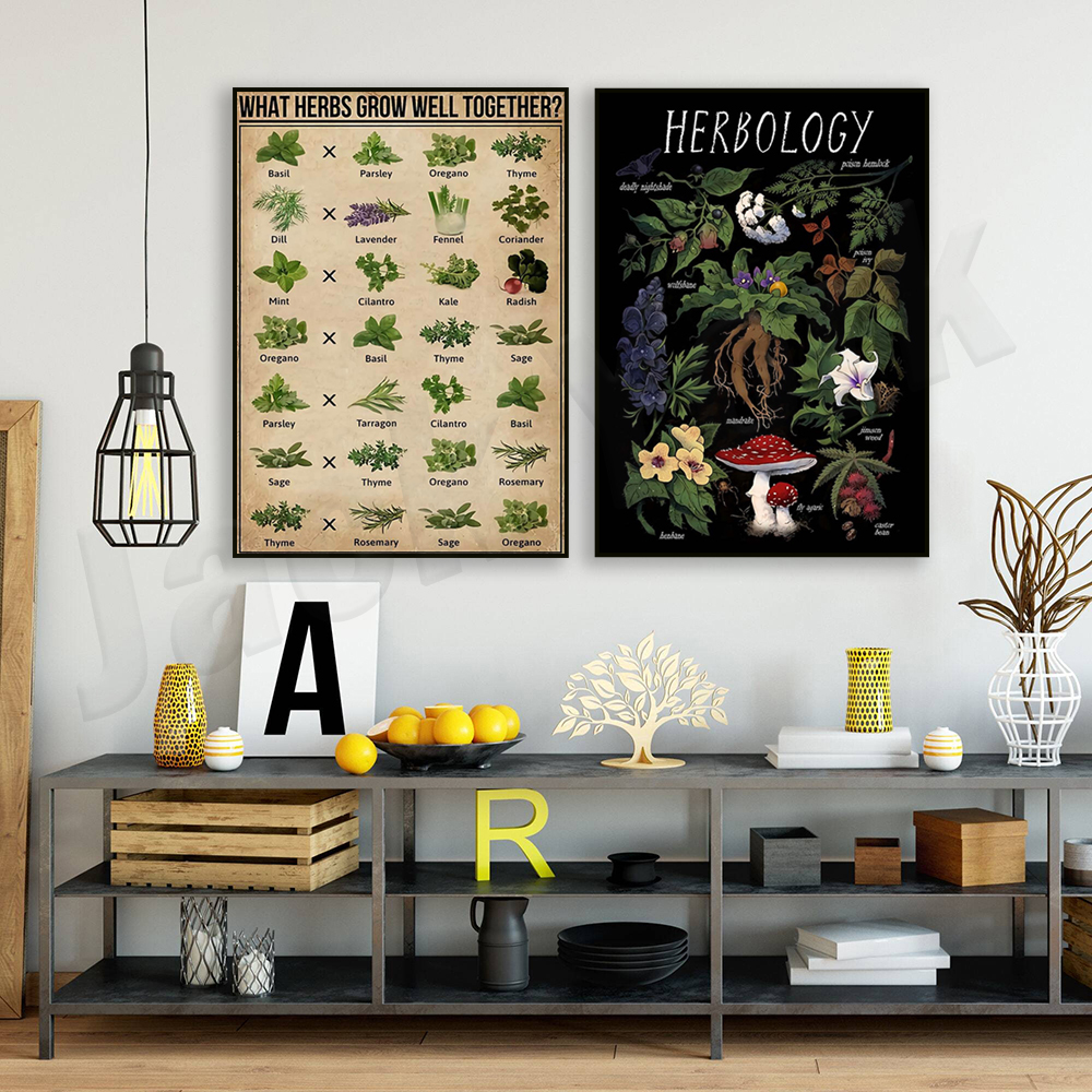 What herbs grow well together? - Herbal Gardens Wellness บทวิจารณ์และราคา