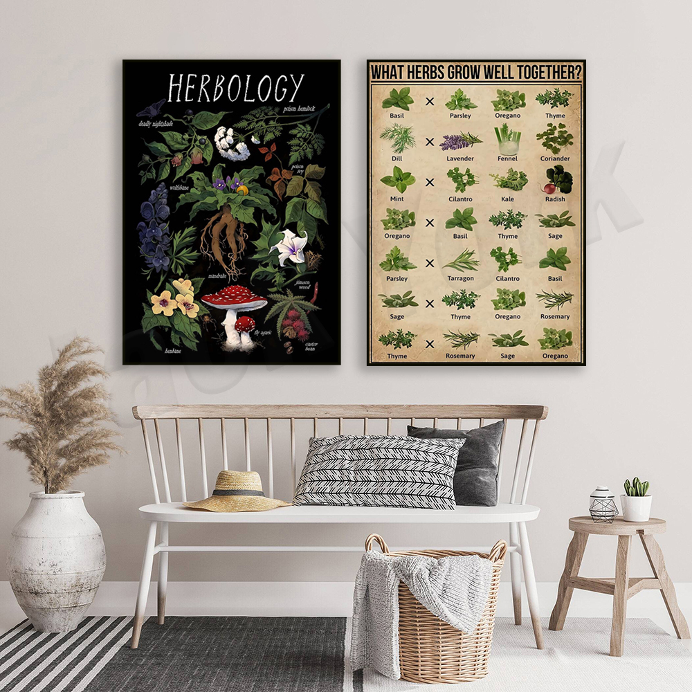 What herbs grow well together? - Herbal Gardens Wellness บทวิจารณ์และราคา
