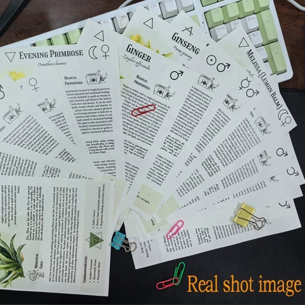 Tincture Recipes Book Crafting - Herbal Wellness Book บทวิจารณ์และราคา