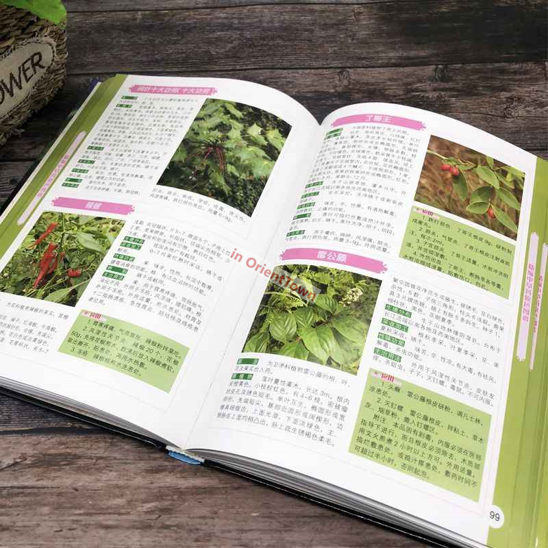 400 Common Herbal Plants Flavo - Herbal Wellness Book บทวิจารณ์และราคา