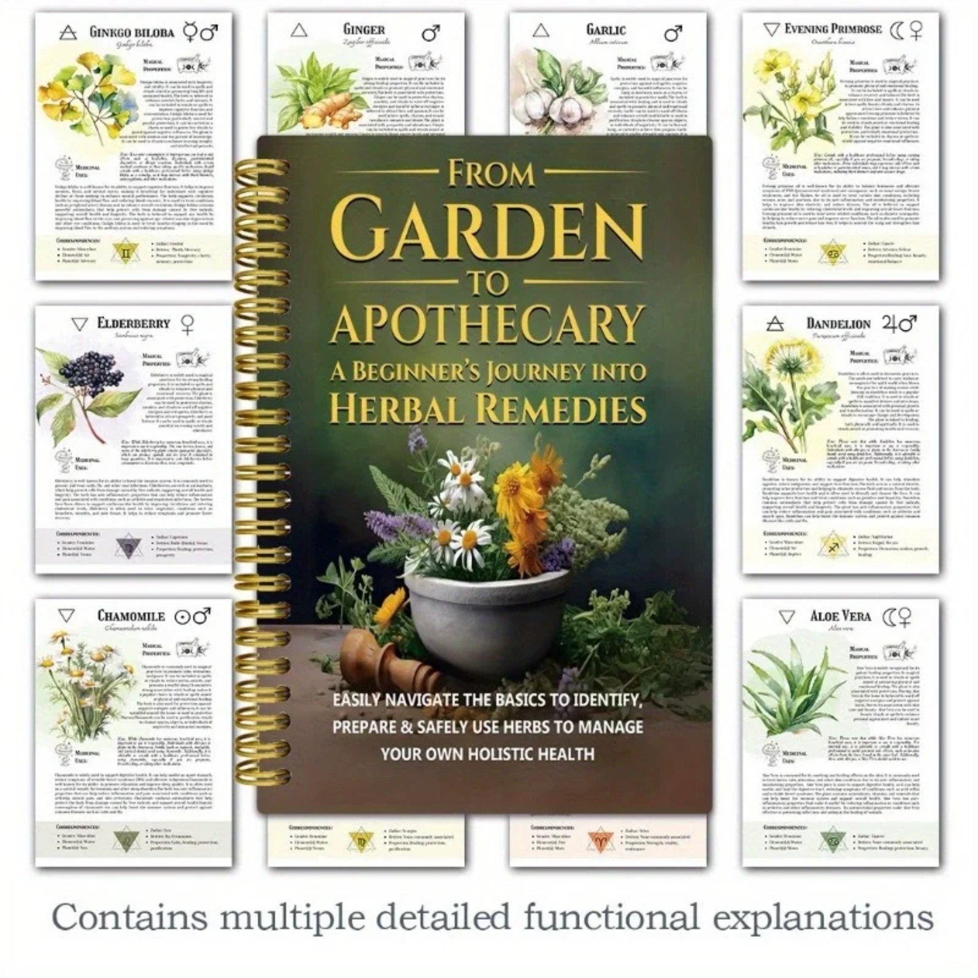 From Garden To Apothecary A Be - Herbal Wellness Book บทวิจารณ์และราคา
