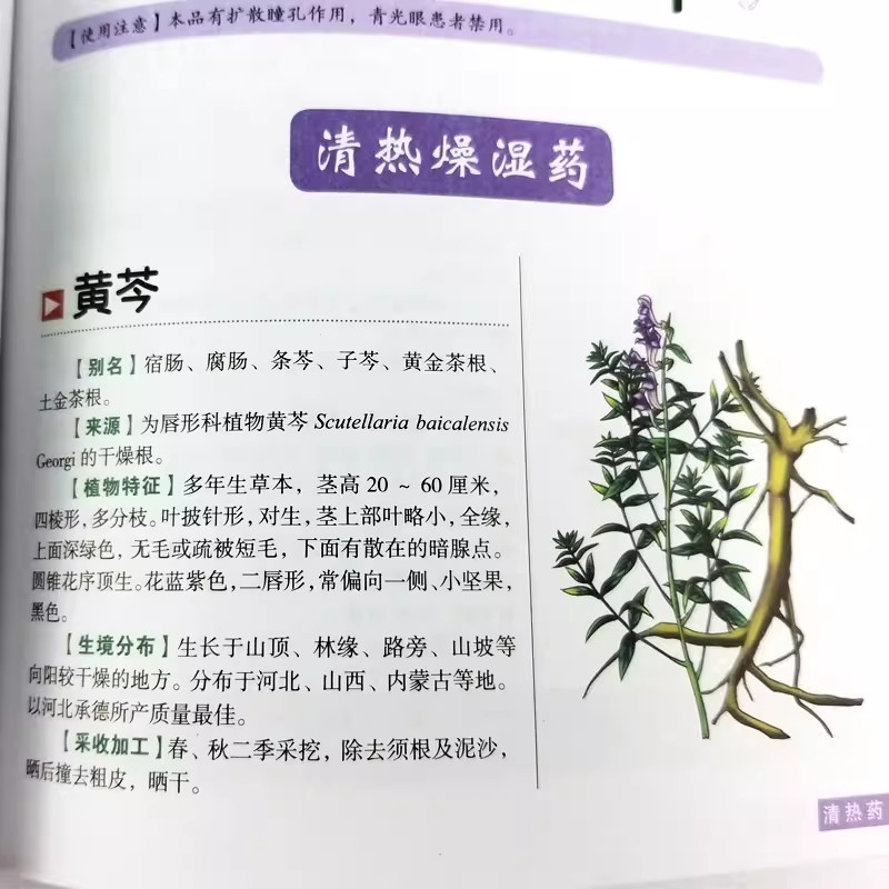 The Ancient Herbarium Holistic - Herbal Wellness Book บทวิจารณ์และราคา